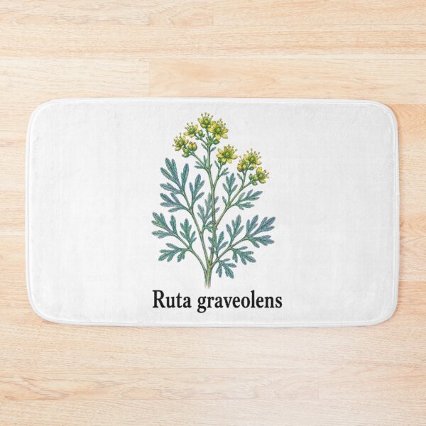 Item preview, Ruta graveolens – Officinal street designed and sold by JOANNASKAH.