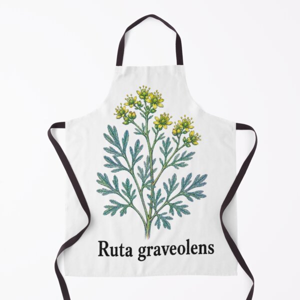 Item preview, Ruta graveolens – Officinal street designed and sold by JOANNASKAH.