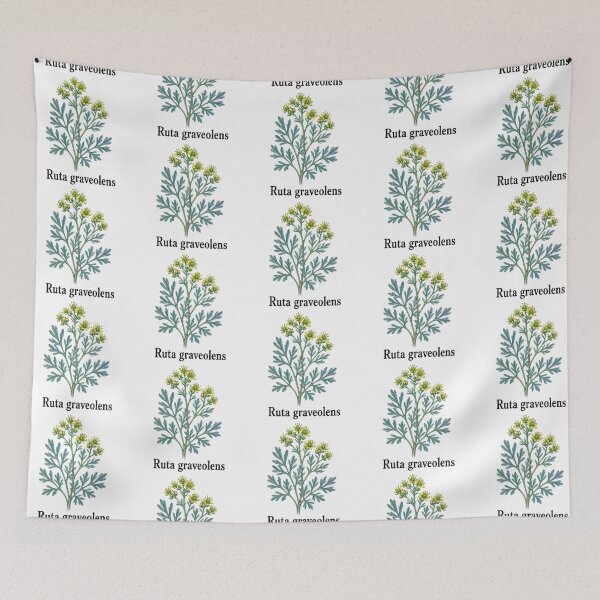 Item preview, Ruta graveolens – Officinal street designed and sold by JOANNASKAH.