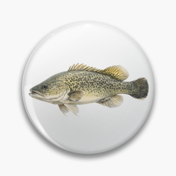 Item preview, Murray Cod — Watercolour Fish Painting designed and sold by Jaruart.
