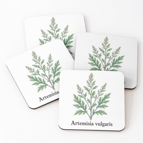 Item preview, Artemisia vulgaris – Common Mugwort designed and sold by JOANNASKAH.