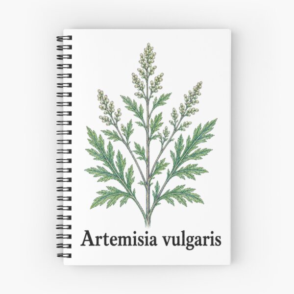 Item preview, Artemisia vulgaris – Common Mugwort designed and sold by JOANNASKAH.