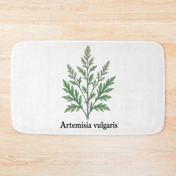 Item preview, Artemisia vulgaris – Common Mugwort designed and sold by JOANNASKAH.