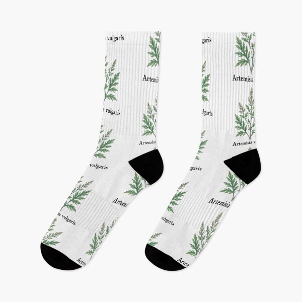 Item preview, Artemisia vulgaris – Common Mugwort designed and sold by JOANNASKAH.