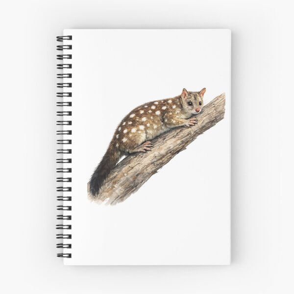 Item preview, Chuditch (Western Quoll) — Watercolour Illustration designed and sold by Jaruart.