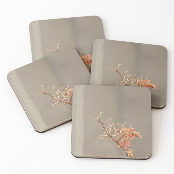 Item preview, Nearly gone. designed and sold by Paul Pasco.