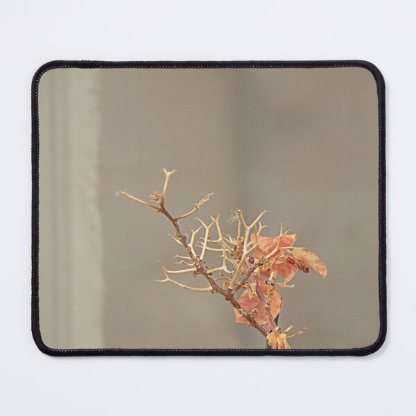 Item preview, Nearly gone. designed and sold by Paul Pasco.