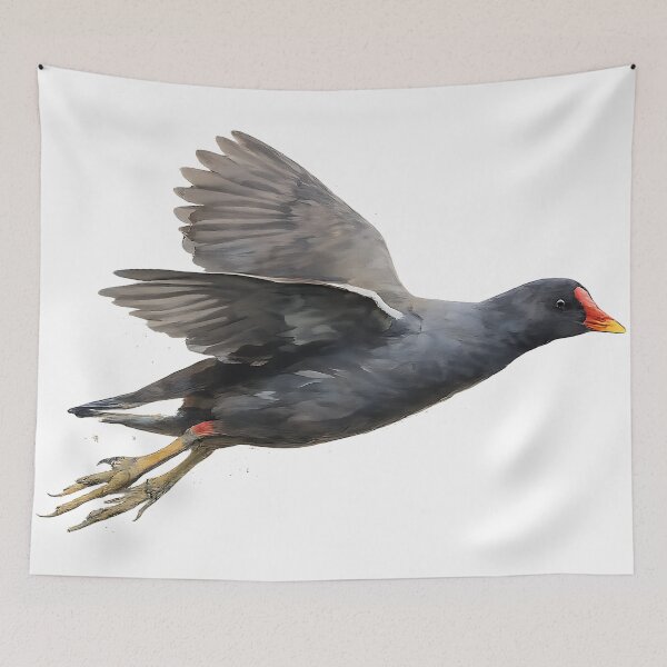 Item preview, Dusky Moorhen in Flight — Watercolour Bird Art designed and sold by Jaruart.