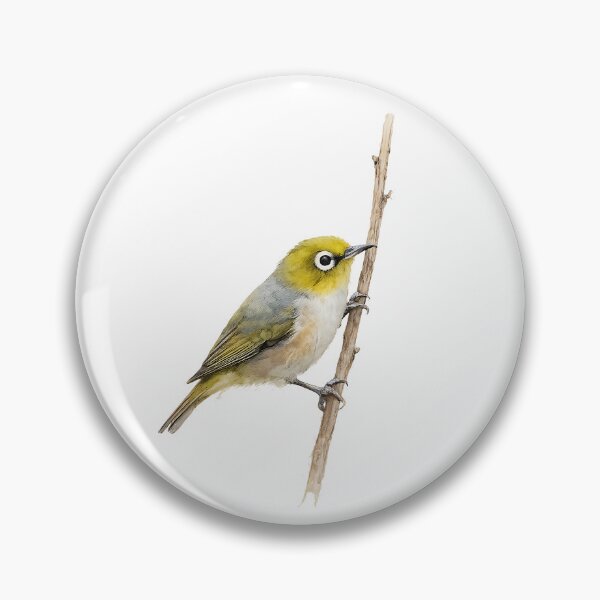 Artikelvorschau, Silvereye Watercolour Painting entworfen und verkauft von Jaruart.