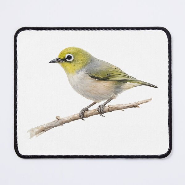 Item preview, Silvereye — Watercolour Bird Illustration designed and sold by Jaruart.