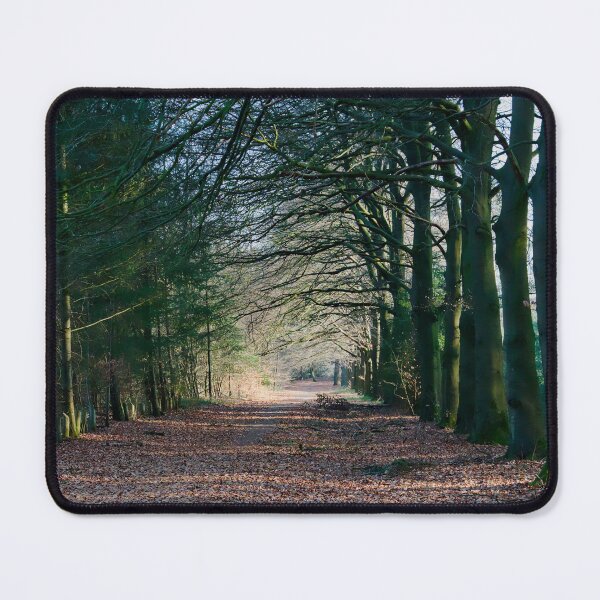 Item preview, Deep Forest Path designed and sold by ShotsbyDesiree.