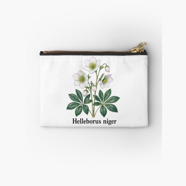 Item preview, Helleborus niger – Black hellebore designed and sold by JOANNASKAH.