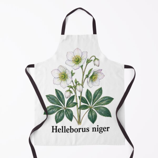 Item preview, Helleborus niger – Black hellebore designed and sold by JOANNASKAH.
