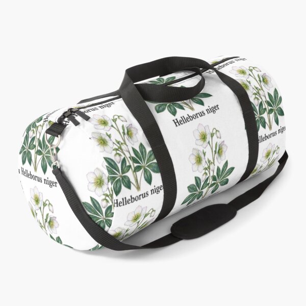 Item preview, Helleborus niger – Black hellebore designed and sold by JOANNASKAH.