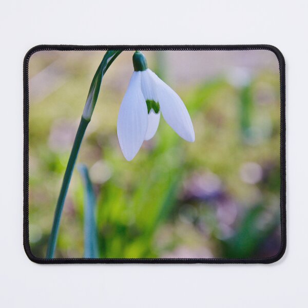 Item preview, Delicate White Snowdrop Blooming designed and sold by ShotsbyDesiree.