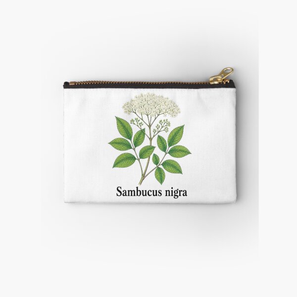 Item preview, Sambucus nigra – Black Elderberry designed and sold by JOANNASKAH.