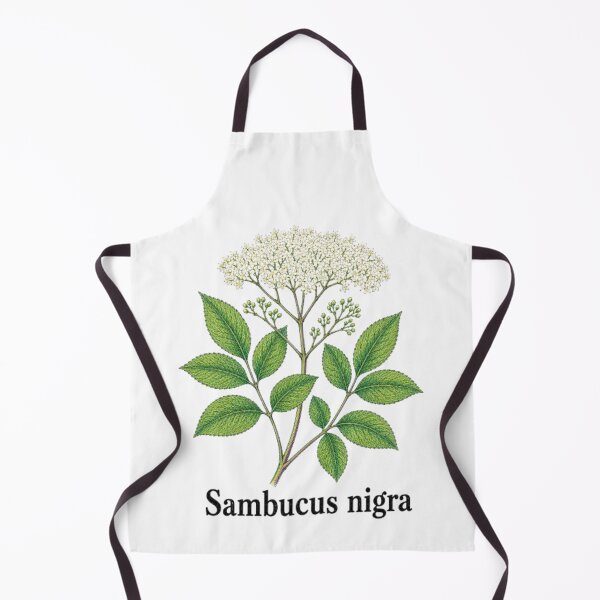 Item preview, Sambucus nigra – Black Elderberry designed and sold by JOANNASKAH.