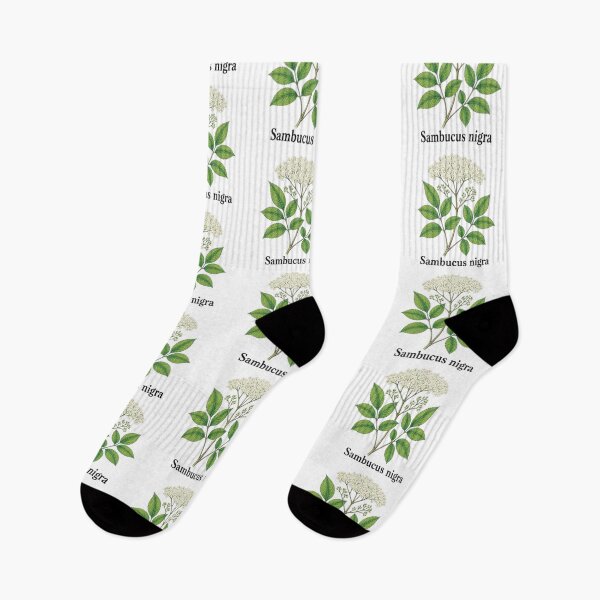 Item preview, Sambucus nigra – Black Elderberry designed and sold by JOANNASKAH.