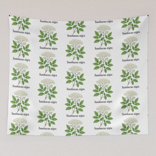Item preview, Sambucus nigra – Black Elderberry designed and sold by JOANNASKAH.