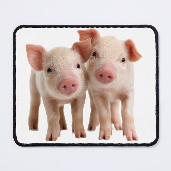 Item preview, Really cute pigs designed and sold by ArtfulPlay.