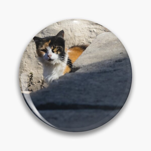Item preview, Calico Cat Resting on Weathered Concrete Wall in Dry Field, Outdoor Pet Portrait designed and sold by Nmallia.