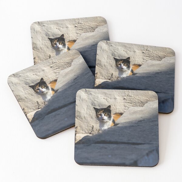 Item preview, Calico Cat Resting on Weathered Concrete Wall in Dry Field, Outdoor Pet Portrait designed and sold by Nmallia.