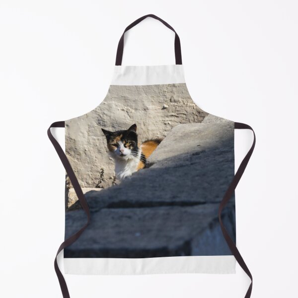 Item preview, Calico Cat Resting on Weathered Concrete Wall in Dry Field, Outdoor Pet Portrait designed and sold by Nmallia.