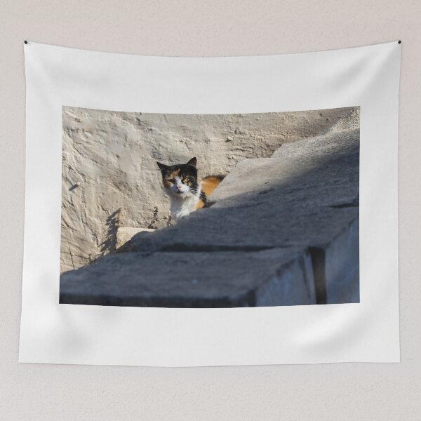Item preview, Calico Cat Resting on Weathered Concrete Wall in Dry Field, Outdoor Pet Portrait designed and sold by Nmallia.