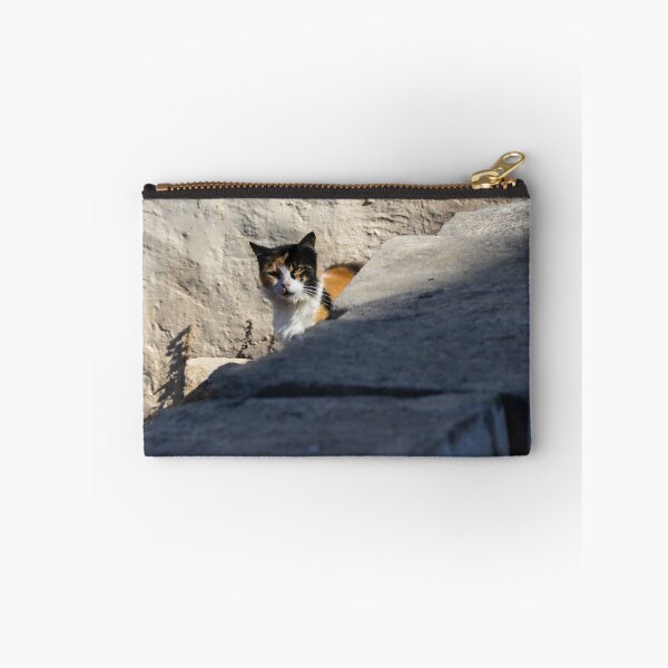 Artikelvorschau, Dreifarbige Katze ruht auf verwitterter Betonmauer in trockenem Feld, Haustierporträt im Freien entworfen und verkauft von Nmallia.