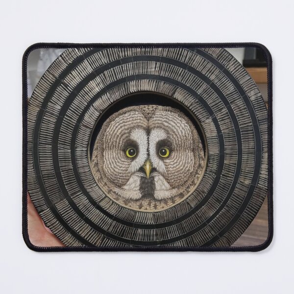 Item preview, Owl Swedish House Mafia Sitting on Branch designed and sold by Rishstrethphoto.