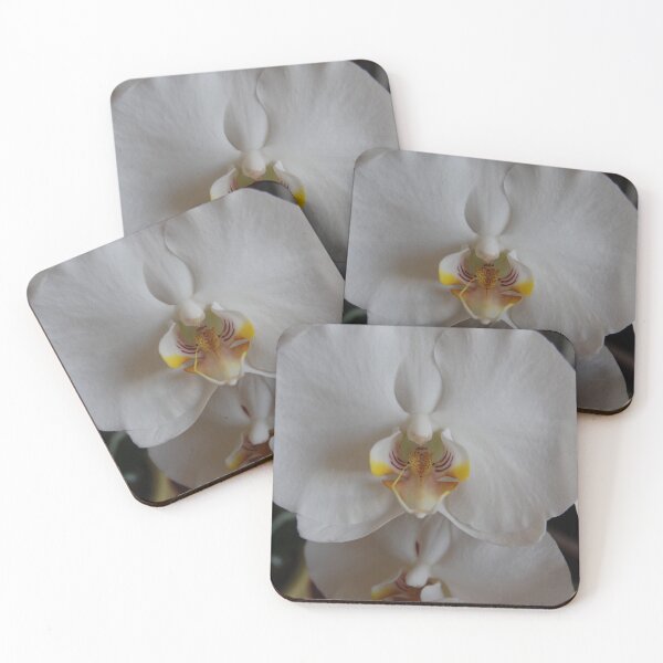 Item preview, White Orchid    designed and sold by zwrr16.