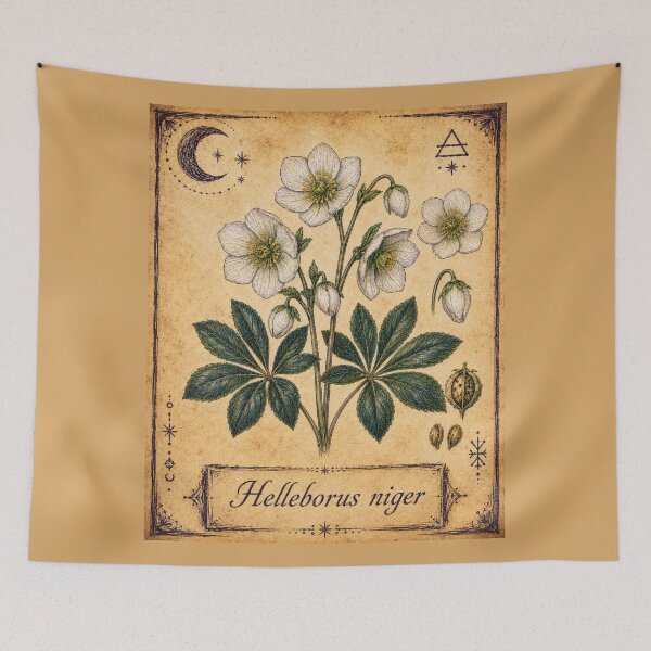Item preview, Helleborus niger – Witchy Herbarium Collector’s Edition designed and sold by JOANNASKAH.