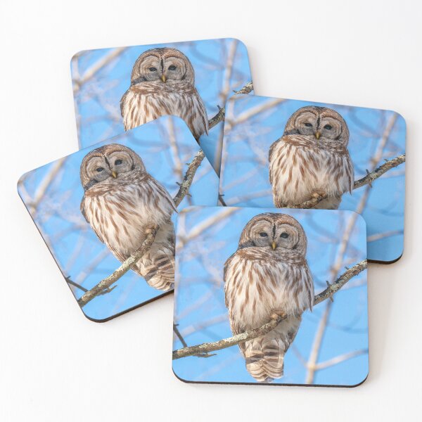 Item preview, Owl Trippie Redd in Celestial Cosmos designed and sold by Rishstrethphoto.