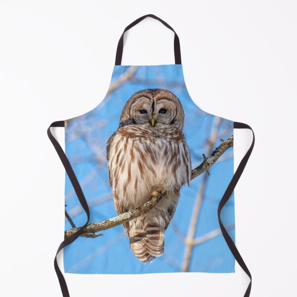 Item preview, Owl Trippie Redd in Celestial Cosmos designed and sold by Rishstrethphoto.