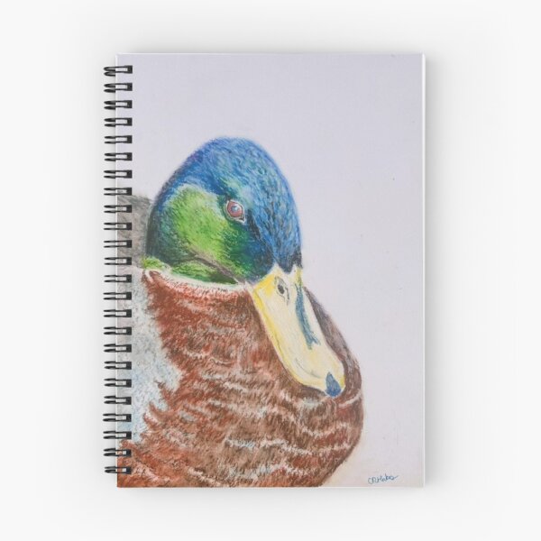 Item preview, Mallard Duck: Oil Pastels designed and sold by charlotteroro.