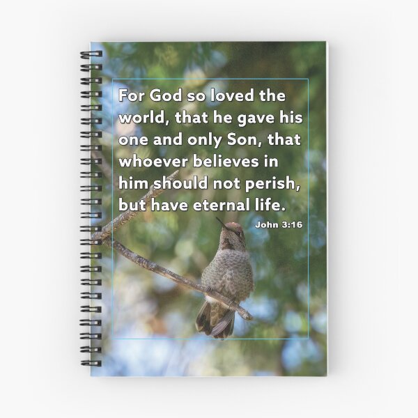 Item preview, John 3:16 - For God So Loved -  Hummingbird Photograph designed and sold by InsprtnlArtbyDP.