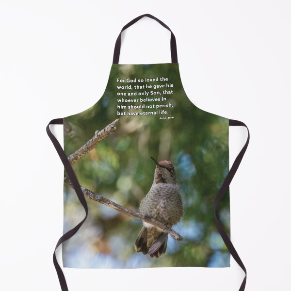 Item preview, John 3:16 - For God So Loved - Hummingbird Photograph designed and sold by InsprtnlArtbyDP.