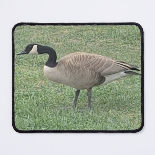 Item preview, Canadian wildlife designed and sold by CarrieMcDadeCreations.