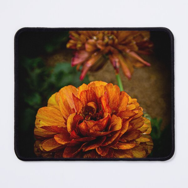 Item preview, Mitchell Park Domes Flower designed and sold by Nick Caldwell.