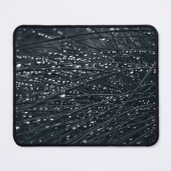 Item preview, Rain on grass blades designed and sold by Baulmonart.