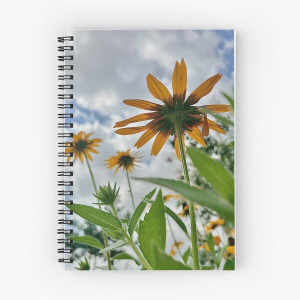 Item preview, Black eyed susans designed and sold by Baulmonart.