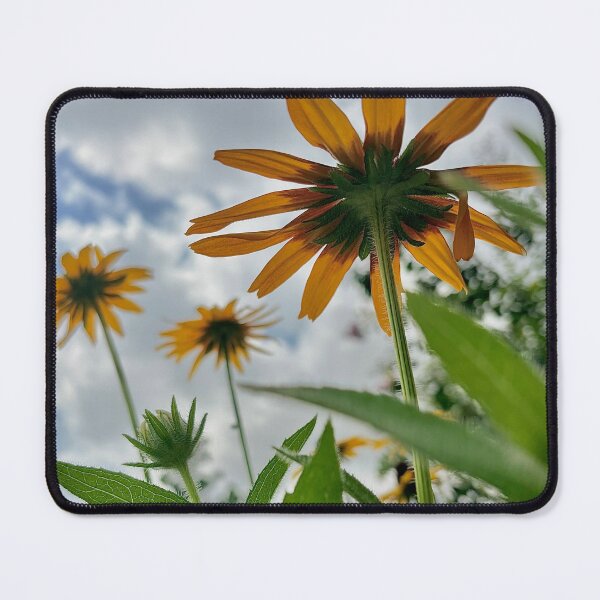 Item preview, Black eyed susans designed and sold by Baulmonart.