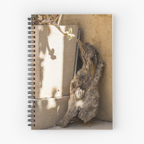 Item preview, Rustic Driftwood and Potted Succulent Casting Shadow on Sunlit Textured Wall designed and sold by Nmallia.