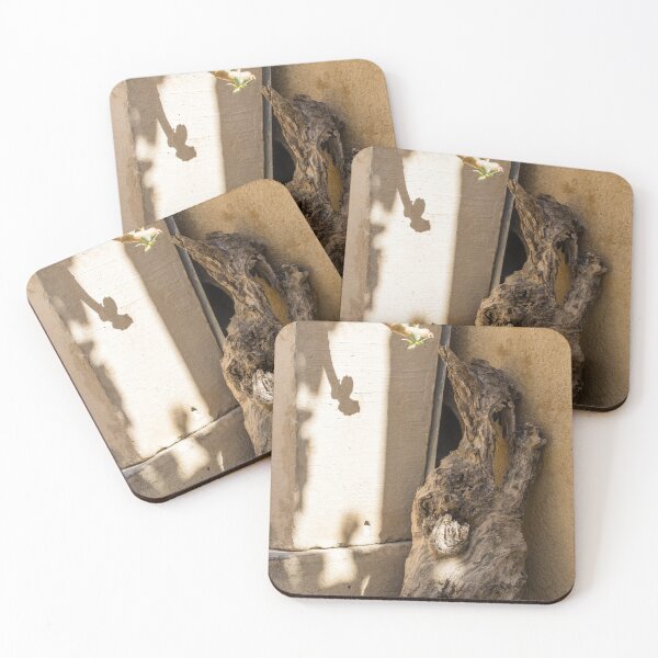 Item preview, Rustic Driftwood and Potted Succulent Casting Shadow on Sunlit Textured Wall designed and sold by Nmallia.