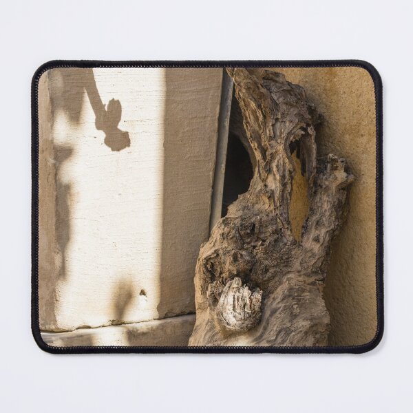 Item preview, Rustic Driftwood and Potted Succulent Casting Shadow on Sunlit Textured Wall designed and sold by Nmallia.