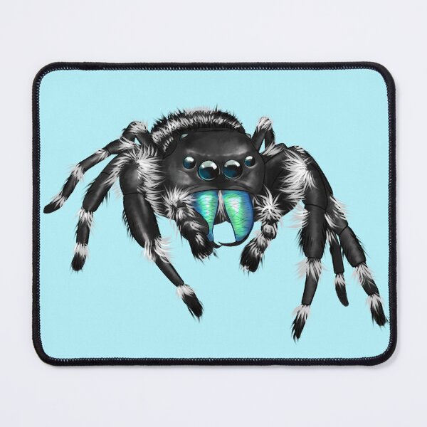 Item preview, Phidippus Audax Bold Jumping Spider designed and sold by Ashen Jumper.