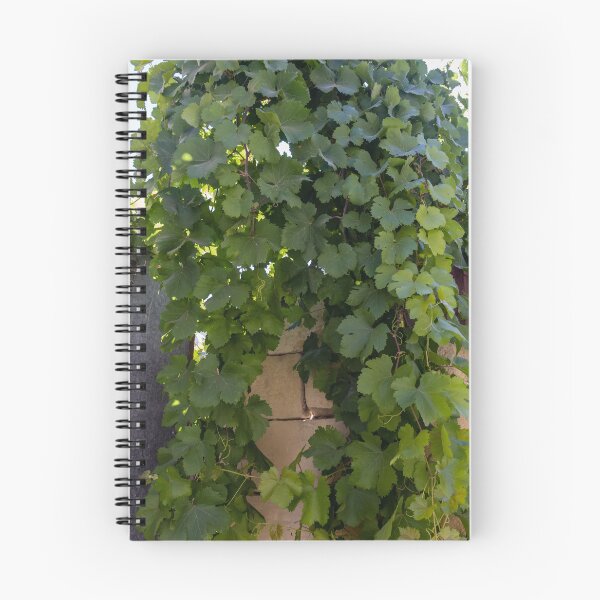 Item preview, Lush Green Grapevine Leaves Climbing Stone Wall in Sunlit Garden Vines and Foliage designed and sold by Nmallia.