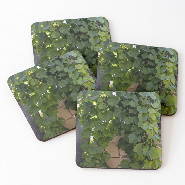 Item preview, Lush Green Grapevine Leaves Climbing Stone Wall in Sunlit Garden Vines and Foliage designed and sold by Nmallia.