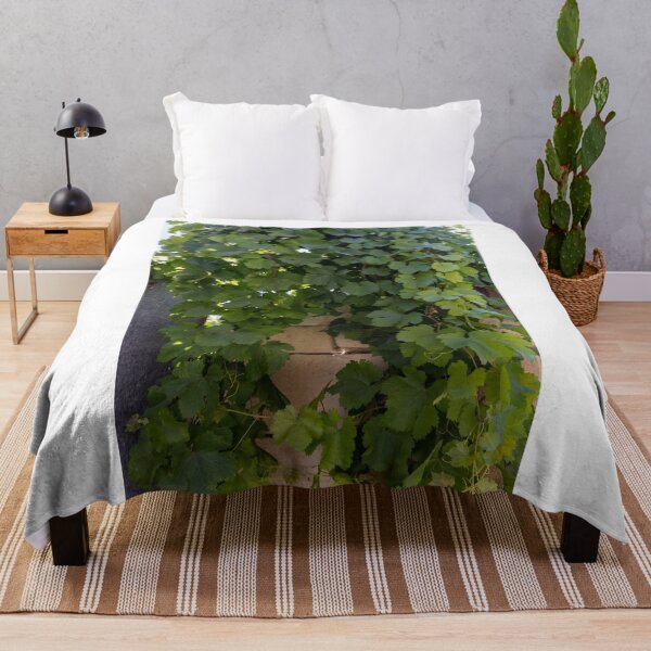 Item preview, Lush Green Grapevine Leaves Climbing Stone Wall in Sunlit Garden Vines and Foliage designed and sold by Nmallia.