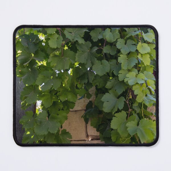 Item preview, Lush Green Grapevine Leaves Climbing Stone Wall in Sunlit Garden Vines and Foliage designed and sold by Nmallia.